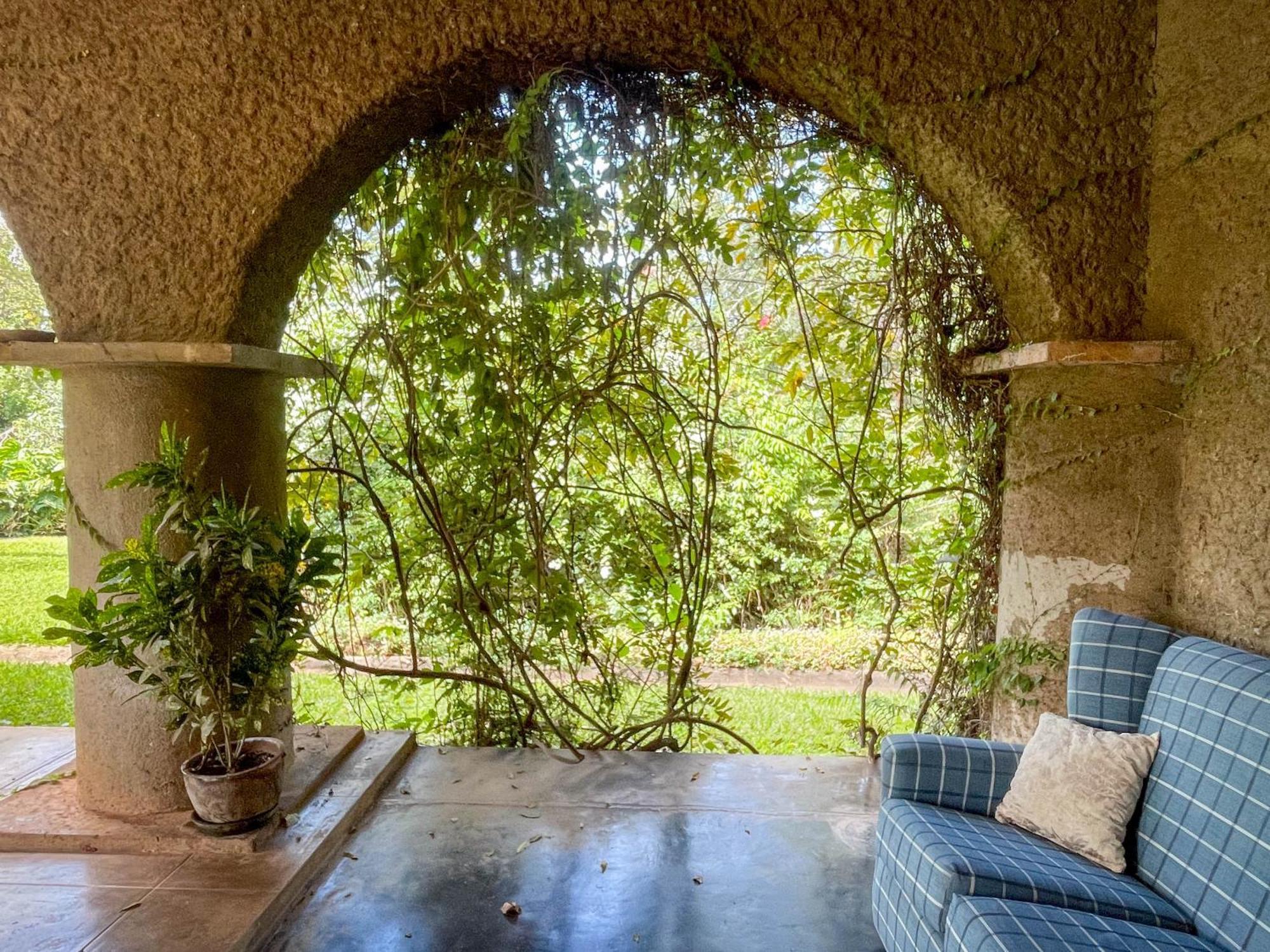 Huntingdon House And Chawani Bungalow Thyolo Kültér fotó