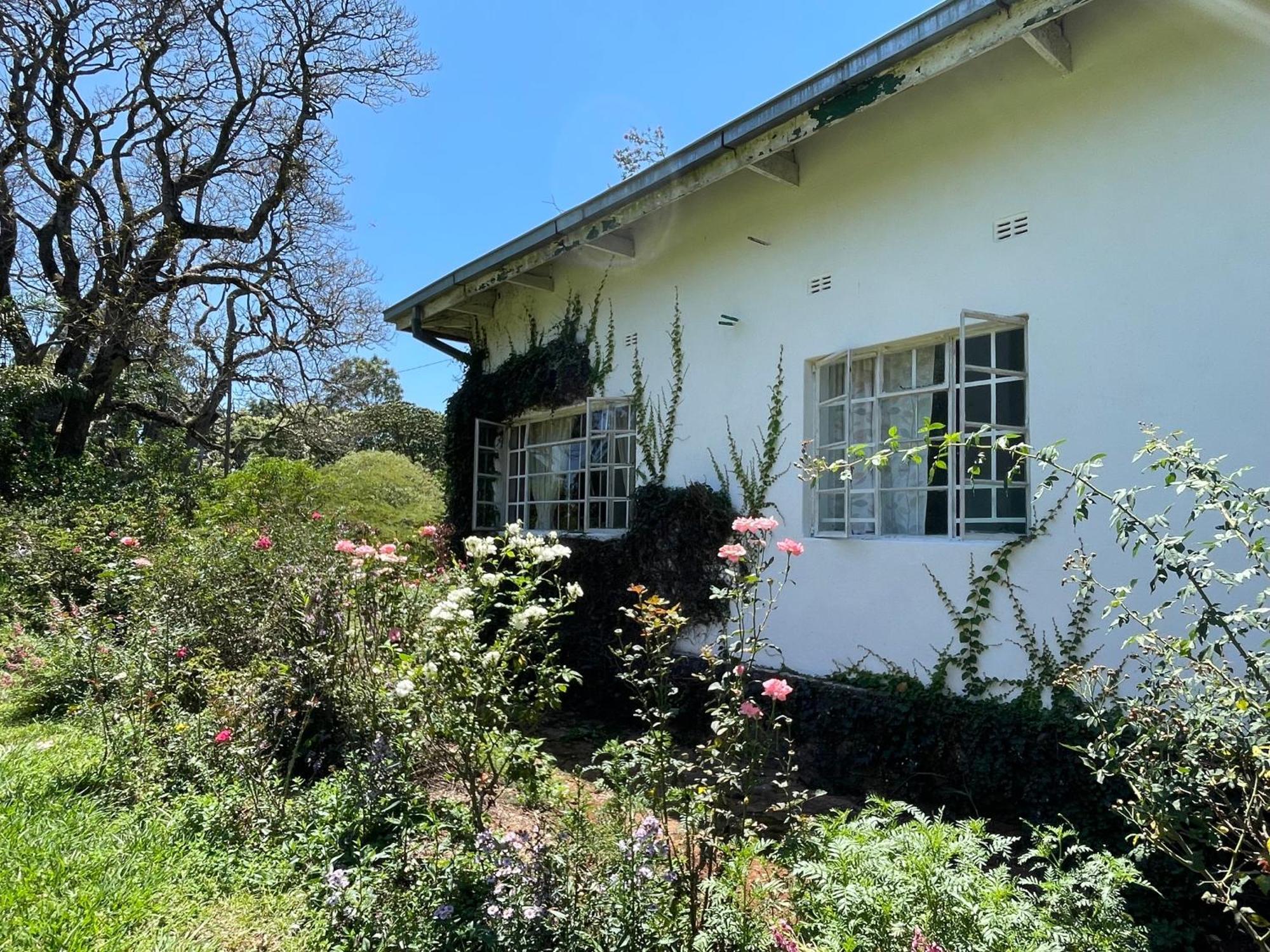 Huntingdon House And Chawani Bungalow Thyolo Kültér fotó